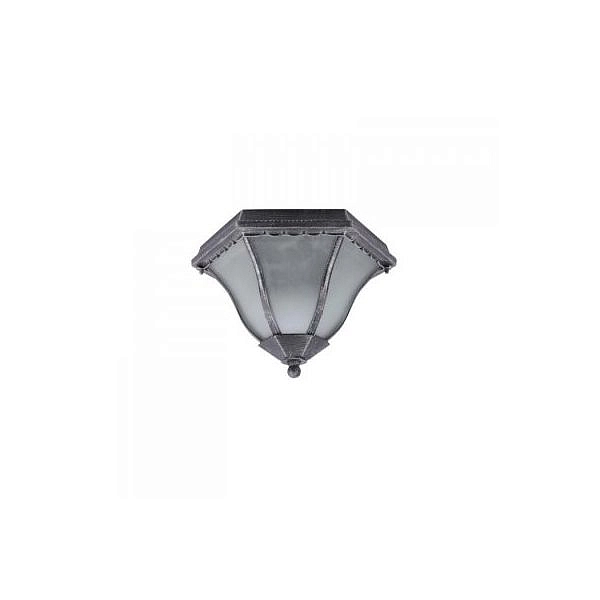 Светильник потолочный Arte Lamp A1826PF-2BS